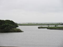 左のたぬき島の向こうは利根川です。