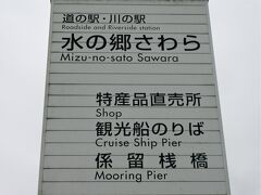 道の駅・川の駅 水の郷さわら

一般的な道の駅と同じ、地元の農産物や加工食品も多く並んでいるし、フードコートもあって、お客も多い。
ここには「川の駅」も併設していて、観光船や遊覧船、カヌーの乗り場もあるし、マリンジェット、モーターボートもあります。
バードウォッチングできる湿地帯もあるので、まさに『水の郷さわら』の名にふさわしいです。