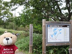 知床五湖の入り口です。
入口前でこの写真を撮っていたら、
「クマに遭うのはこのクマちゃんだけであって欲しいですね」
とガイドの吉田さんから言われました…苦笑