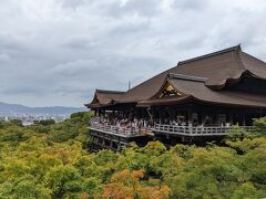 蒸し暑い中汗だくだくになりながら清水坂をのぼり、清水寺につきました。私、人生で一度も京都に行ったことがないので、行ってみたかったんです。正確には京都のホテルには泊まったことがあるのですが、本当に泊まっただけなのでノーカンです。ホテルから出てないしな
清水寺はなんか仏教テーマパークみたいな感じですね。浅草寺もそんな感じですが、清水寺のほうが規模がでかい