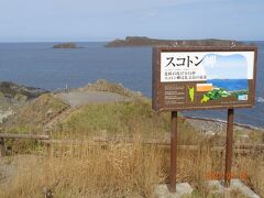 最北限の島＝礼文島の最北端。