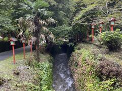 次にこの旅行最後の場所、坂東33ヶ所17番の出流山満願寺。
この川の周りが特にマイナスイオンたっぷりという感じでした。