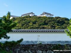 富岡城跡 展望所