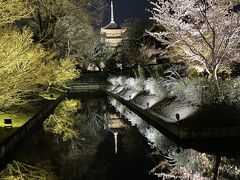 東寺って、京都駅から歩こうと思えば歩けるのね！
お腹いっぱいなので、お散歩がてら歩いて向かいました。

名古屋で会う時も沢山歩き回るので、「連れまわしても大丈夫」と思われている私(^▽^;)

昨日の醍醐寺は2000円でしたが、東寺はもっと広いのに1000円と良心的♪

東寺のライトアップは昨年に続き2回目。
相変わらずアプローチから美しい☆

★東寺
https://toji.or.jp/