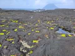 八丈富士が噴火したときの溶岩が固まってできた海岸。
