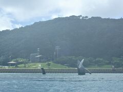 
北浜、安慶名敷島と見ていたら、気づいたらもう座間味、西側ばかりに気をとられているうちに

東側の安室島などまったく見ていませんでした　あーぁ勿体ない

まぁ仕方ありません　いつか上陸すればいいんです

今回はしませんけども