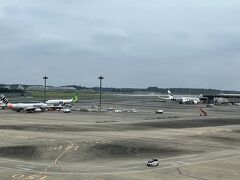 成田空港第2ターミナルにマリメッコのKIVI柄のフィンエア機が停まっていました。