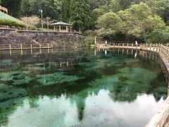 次は湧水町にある「丸池湧水」です。

丸池湧水は「日本名水百選」のひとつに選ばれていて、日量約6万トンの水が湧き出し、町の生活用水に利用されているそうです。
実際、池の中から水が湧き出ている様子が見えました。
空のペットボトルなどを持参して自由にお水を頂ける水汲み場もあり、地元の方がペットボトルに水を入れていました。