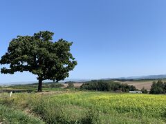 旭川から次の目的地の富良野まで寄り道しながら～。
どこまでも続く広大な大地。
