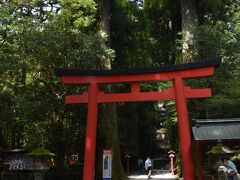 箱根神社に参拝しました。