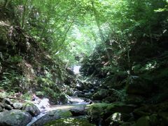 山の中の空気は爽やかで、翠の香りに満ちている。