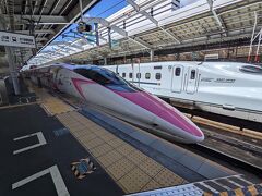 ちょうど姫路にお昼に着く500系の新幹線にスケジュールを合わせたら、たまたまハローキティ新幹線でした。
