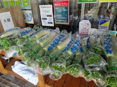 お食事は別の旅行記で。

帰りは「道の駅 アグリパル塩原」でクーポン使用して

購入。

今回は大根が人気のようでした。