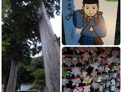 最初に立ち寄った観光スポット日枝神社。
修善寺より手前にある小さな神社。
赤いライトアップがなんだか不気味σ(^_^;)