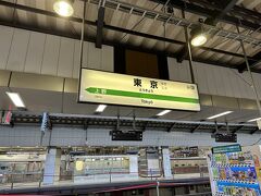 旅は東京駅からスタートします。
関東から北海道行きのフェリーに乗るといえば大洗からの商船三井フェリーがスタンダードかもしれません。
今回は新潟から新日本海フェリーに乗船して北海道へ渡ります。