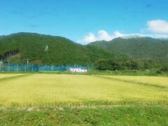 山口駅を出て、しばらくすると田園風景が広がります。
ちなみに、徳佐駅の周囲にはりんご園があってりんごも実ってましたが、撮り逃しました・・・。