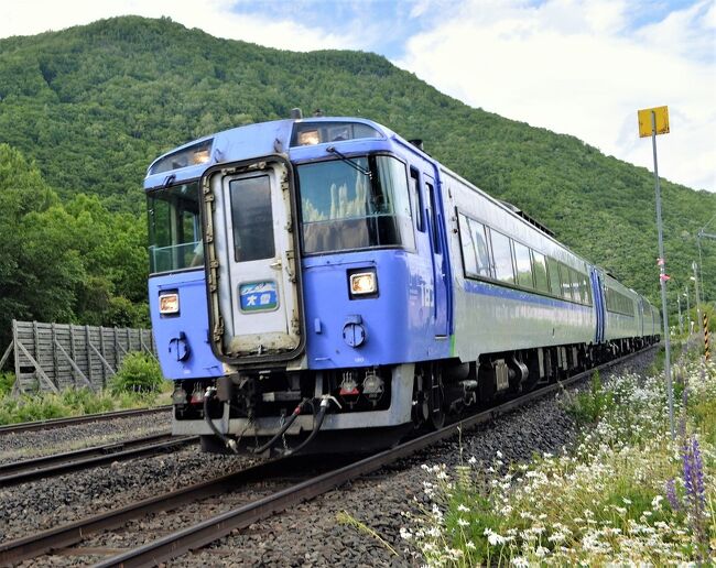 Amazon.co.jp: 『想い出の森林鉄道版画集小さな町の小さなSL