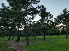 海の公園の芝生広場も草刈りがなされていて気持ち良い。