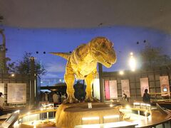 恐竜博物館はすごい施設でお金をかけている印象。子どもだけでなく大人も十分に楽しめるものでした。このティラノサウルスは吠えながら動きます。