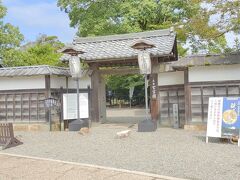 玄宮園（げんきゅうえん）

まず紹介するのは、玄宮園。

彦根城の城内に江戸時代に造られた回遊式の大名庭園で、国指定名勝となっています。

延宝5年（1677年）に彦根藩4代藩主・井伊直興の命で作庭されたと伝わり、琵琶湖や中国の瀟湘八景にちなんで選ばれた近江八景を模してつくられたとのこと。