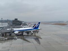 乗ってきた機体。

この後、昼食を食べに博多駅へ向かいます。