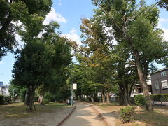 神社の奥に沢山の木々が見えたのは、元茨木川緑地