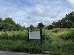 こちらは国分尼寺跡、さきほどの国分寺から500mぐらいのところにある
看板だけで草がぼうぼうでした