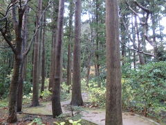 続いて弥彦神社へ。参道はこういう小径もある