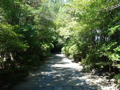 東禅寺　参道