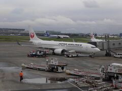 羽田６：４０　JAL５０１便　札幌行きに搭乗します。預け入れの荷物はキャディバッグのみです。