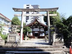 二日連続で三輪神社へ

三輪神社の鳥居はちょっと変わっていて、真ん中の大きな明神鳥居の両側に小さな鳥居を2つ組み合わせたものです

これは「三ツ鳥居」や「三輪鳥居」と呼ばれており、全国でも20か所ほどしかない珍しい鳥居

三輪鳥居には正式な通り方があり、中央の鳥居から左の鳥居、右の鳥居、もう一度左の鳥居と八の字を描くようにくぐります(茅の輪くぐりのくぐり方と同じです)

正式な通り方をすると「ご利益が3倍」になるといわれています
