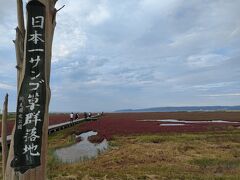 卯原内サンゴ草群生地