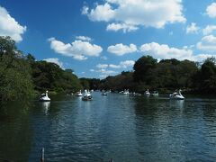 井の頭恩賜公園では白鳥ボートが気持ち良さそう。すぐ傍のベンチに座ってちょっと休憩。今日撮った写真を見返しているとあっという間に25分経ったのでお店へ。