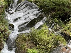 水量はそこそこありますが私の故郷にもある白糸の滝と比べると、そこまで大騒ぎをするほどのものでは。。
