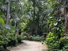 由布島ではツアーについていた昼食をたべて、その後自由行動！

植物園を散策。
