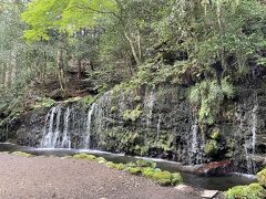 移動して小涌谷の千条（ちすじ）の滝。観光客が誰もいない上に「熊出没注意」の看板もあって、ちょっと不安でしたが、横に長いきれいな滝でした。


最後にまとめ

良かった点：
・屋内プール直下の部屋は、予想してたより音は小さく気にならなかった。もちろん営業時間外はまったく音はしません。
・広い部屋でソファーも大きくゆったり。
・温泉とプールとどちらも楽しめる。
・大浴場、プールと同じ1号館の部屋のため移動が楽だった。
・客層は落ち着いた人が多い。騒々しい団体や外国人がいない。

気になった点や注意点：
・個人的には気にならなかったけど、屋内プール直下の部屋は確かに小さな音は聞こえます。ちょっとした音でも気になるという人は避けたほうがいいでしょう。
・大浴場と屋内プールは1号館にあるので、2号館の部屋からは移動距離が長くなります。
・朝食ビュッフェの中央の料理台周辺は通路が狭い。
・取り皿が重いのに料理を取る際にトレーや皿を置く場所が無い。

こんな方におすすめ：
・旅館よりホテルのほうが好きな方
・温泉大浴場だけでなくプールも入りたい方
・ビュッフェスタイルの食事が好きな方
・移動手段がマイカーもしくはレンタカーの方
・外国人観光客の少ない落ち着いたホテルが良い方
・一人旅の方

（終わり・ご覧いただきありがとうございました）