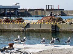 大間を紹介していた「魚が食べたい！」ではこの牛滝港も紹介されていました。観光客も来ることは無いであろう本当の漁港です。観光客相手はおろか商店も見掛けませんでした。