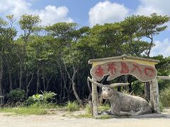 亜熱帯植物楽園由布島