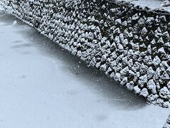 横浜の居留地で医療や食品の保存、アイスクリーム製造などに使われていた氷は、香港から輸入した『ボストン氷』と呼ばれる高価なものだった。
氷の国産化の必要性を悟った嘉兵衛は、製氷事業に乗りだす。
1861年、富士山麓で採氷した氷を横浜に運ぶことに失敗した嘉兵衛はこれに懲りず、諏訪湖、日光、釜石、青森と製氷の挑戦を続けるが失敗の連続だった。