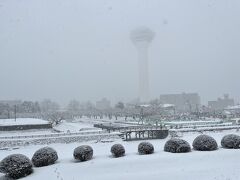 五稜郭タワーは雪にけぶって定かには見えない。