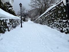 タクシーは函館中心部を通り抜けて函館山の麓へ。
雪が降り積もり、坂道は真っ白だ。