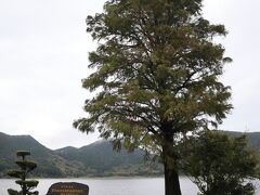 台風一過ではありますが、ここにも寄り道です。
上りの坂道は枝葉でトンデモナイ状態でしたので、徐行で向かいました。