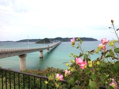 角島大橋に着いたのは12時前でしたが、晴れ間がなくなり真っ青な海という訳にはいきませんでした。それでも初めて訪れた友人にとっては感動ものだったようです。