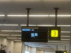 羽田空港第2ターミナル。