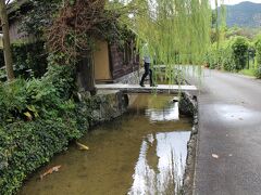 その後南に下り桂太郎旧宅や旧湯川家屋敷のある藍場川の流れる地域へ。この堀には鯉が泳ぎ萩らしい印象的な風情が残ります。