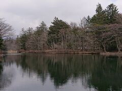 雲場池到着。ダウンから薄手のジャケットに着替える。