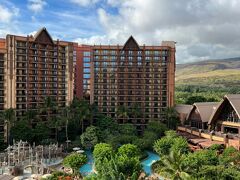 おはようございます(*^-^*)
アウラニ{Aulani, A Disney Resort & Spa in Ko Olina, Hawai‘i}
２日目の朝です。

東海岸～ビーチホッピングに行ってきます!(^^)!
「ハロナ・ビーチ・コーブ」
「ベローズ フィールド ビーチ パーク」