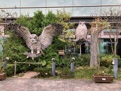 空港に到着。木彫りのふくろう。迫力あり。