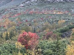 望岳台は紅葉が始まっています。
