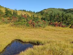 そして、ついに草紅葉と池塘が目の前に！
青空のもとに映えます。